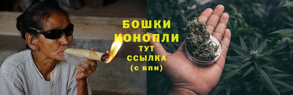 PSILOCYBIN Аркадак